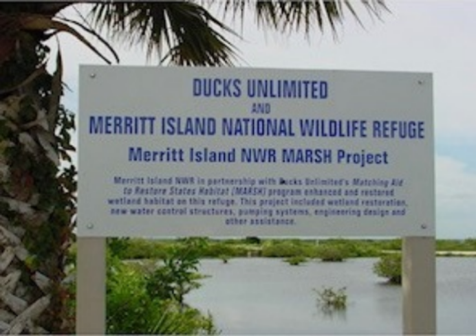 Merritt Island Pic
