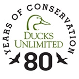 80 Years 80 Years