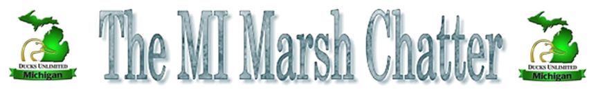 The Marsh Chatter 3