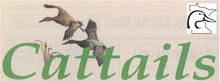MN_DU_Cattails Header MN_DU_Cattails Header