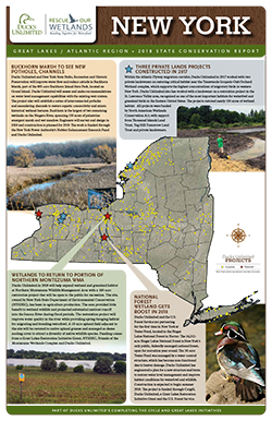 2018 New York State Conservation Report