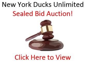 https://www.ducks.org/new-york/events/57354/state-committee-sealed-bid-auction
