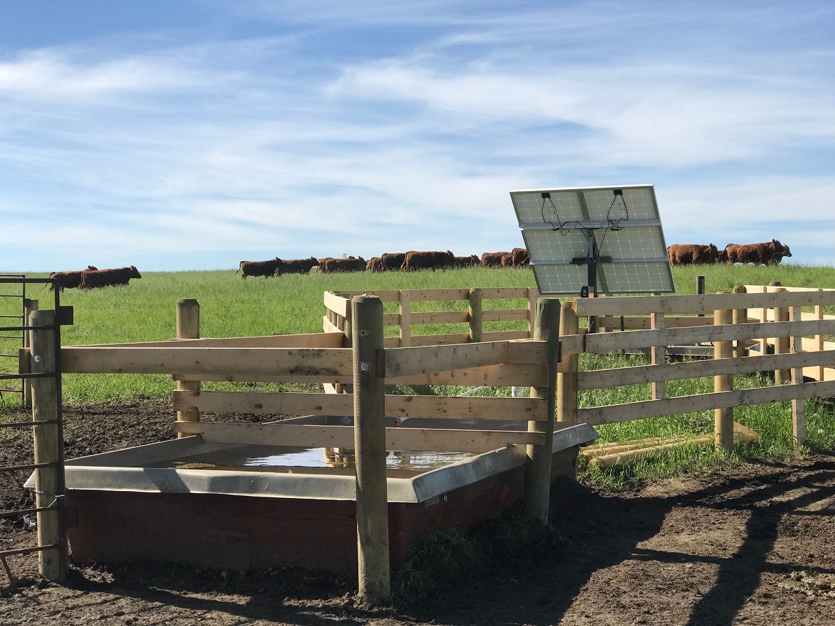 WGP_watersystem-cows_resize WGP_watersystem-cows_resize