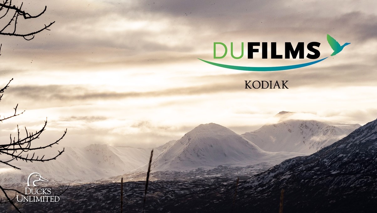 DU Films 6 Kodiak 1