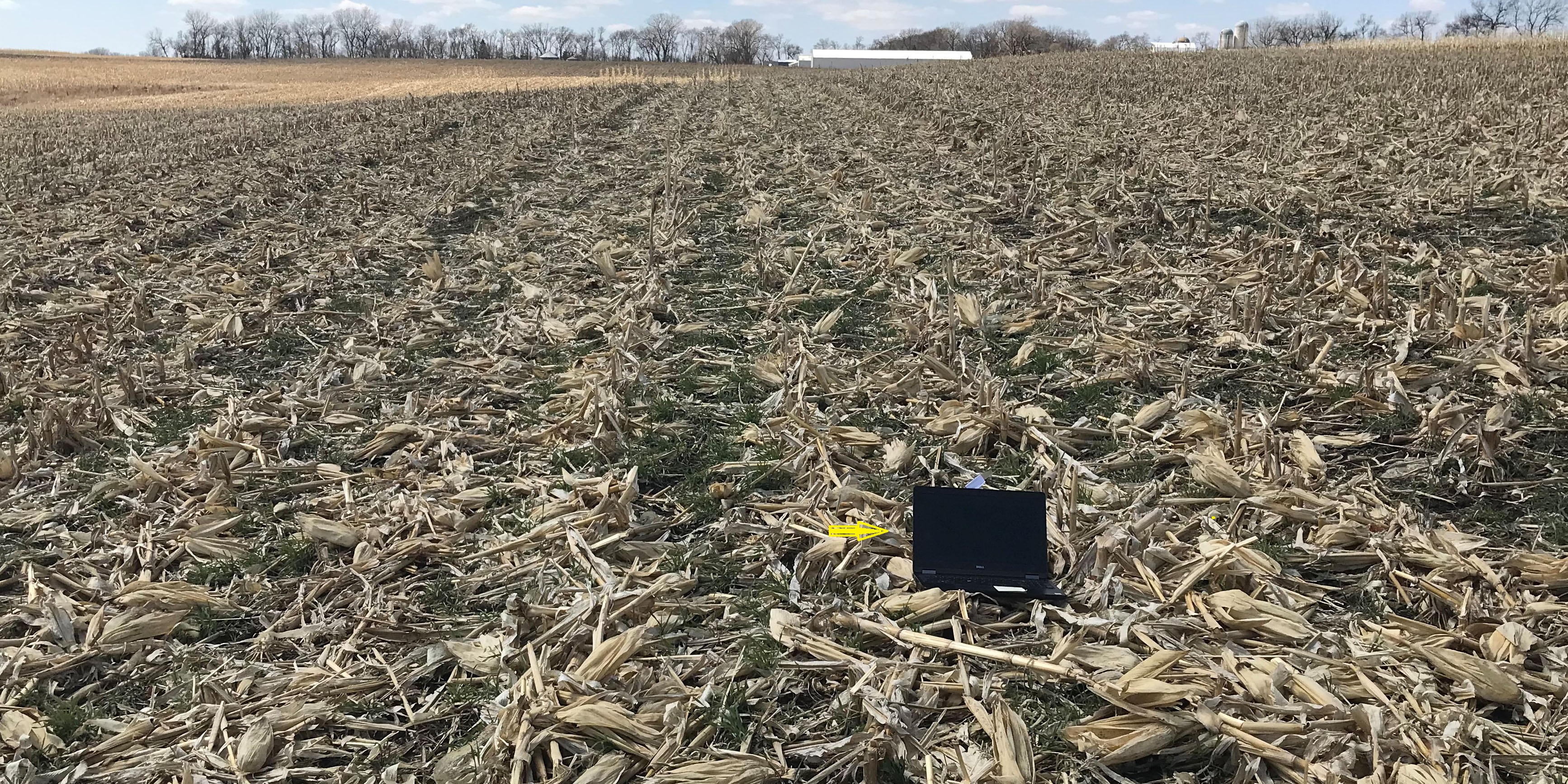 SD team looks remotely at cover crop field web with arrow 2